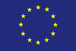 European union flag